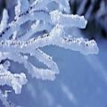 عکس هنگام زمستان : در آغوش طبیعت - جیووانی مارادی | موسیقی بی کلام