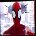 عکس میکس معرکه از انیمیشن 2018 مرد عنکبوتی دنیای عنکبوتی