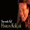 عکس Harun Kolçak - Mavi Dünya (Official Audio)