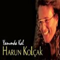 عکس Harun Kolçak - Arada Kaldım (Official Audio)