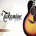 عکس Takamine Specialty Shop Series Guitar