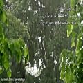 عکس ببار ای بارون ببار / محمدرضا شجریان