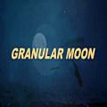 عکس بررسی وی اس تی Soundethers Granular Moon