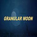 عکس Granular Moon Demo - Soundethers 2 - for Kontakt 6