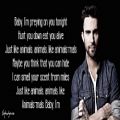 عکس Maroon 5 - Animals (Lyrics) 
