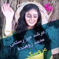 عکس مرشد میررستمی و محمد روهنده - عروسک
