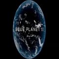 عکس قسمتی عمیق از موسیقی متن مستند سیاره آبی 2 از هانس زیمر