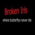 عکس Where butterflies never die _ Broken Iris (Lyrics)