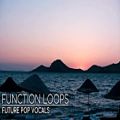 عکس FUTURE POP VOCALS - Vocal Sample Pack