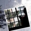 عکس باران پس پنجره،شهراد میدری، خوانش شیدا حبیبی
