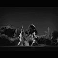 عکس Woodkid - Run Boy Run (Official HD Video)