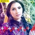عکس فاطمه مهلبان - آهنگ زیبای ایرانی