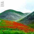 عکس آهنگ جدید هزارگی از محمد وکیلی | New Hazaragi Song Mohammad Vakeli