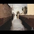 عکس Mehdi Yarrahi - Ahle Nakhal - Official Video ( مهدی یراحی - أهل النخل - ویدیو )