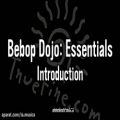 عکس Bebop Dojo Essentials