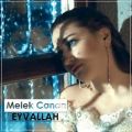 عکس آهنگ Melek Canan به نام Eyvallah