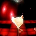 عکس میکس رقص تکنو - مدل مرغی