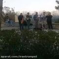 عکس موسیقی خیابانی، گروه سازهای بادی