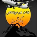 عکس دشتی سوزناک با صدای شیر زن لر | هواپیما تهران-یاسوج| اینو حتمن گوش بدین