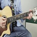 عکس Neil Diamond - Sweet Caroline - Easy Songs on Acoustic Guitar Lesson