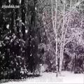 عکس ترانه فرانسوی برف می بارد از سالواتور آدامو با زیرنویس فارسی