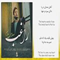 عکس Ragheb - Sedaye Baran (with Lyrics) - راغب - صدای باران