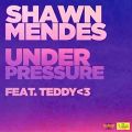 عکس آهنگ Shawn Mendes Teddy3 به نام Under Pressure
