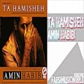 عکس Amin Habibi - Ta Hamisheh 2019 آهنگ جدید امين حبيبی - تا همیشه