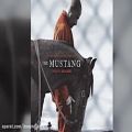 عکس آهنگ فیلم The Mustang