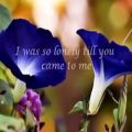 عکس You Mean Everything To Me - Neil Sedaka ( with lyrics )