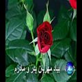 عکس ویژه روز پدر - روز پدر بیاد مهربان پدر و مادرم