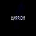 عکس Parkway Drive - Carrion (Lyrics)