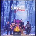 عکس آهنگ جدید و بسیار زیبای بلک کتس به نام جنون(Jonoon,black cats)