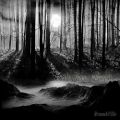 عکس Emotional Dark Music - The Eternal Forest