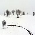 عکس فرهاد مهرداد: برف
