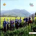 عکس اهنگ شاد محلی مازندرانی نوروز ۱۳۹۷ همخوانی خوانندگان مازندرانی