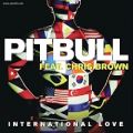 عکس Pitbull Feat Chris Brown International Love