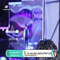 عکس اجرای بی نظیر موسیقی سنتی توسط خواننده نوجوان فرهان منصوری از اصفهان - FULL HD