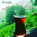 عکس خرید چای سیاه ایرانی
