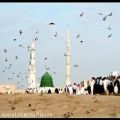 عکس عيد مبعث حضرت محمد (ص) حامد زمانی