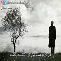 عکس کلیپ فوق العاده زیبا با صدای معین