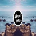 عکس KSHMR - Wildcard (feat. Sidnie Tipton) (Z3NVO Trap Remix) [BASS BOOSTED]