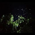 عکس موزیک ویدیو _ شبی که ماه کامل شد