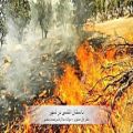 عکس داستان آتشی در شهر، موسیقی متن از رامین جوادی