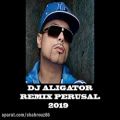 عکس (DJ ALIGATOR (REMIX PERUSAL 2019