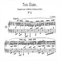 عکس Chopin Nouvelle Etude No.1 TUTORIAL - Paul Barton FEURICH piano