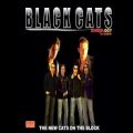 عکس Black Cats - Ey Daad | بلک کتس - ای داد