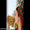 عکس آهنگ ترکمنی شاد (دراگایا,عثمان نوروزوف)