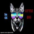 عکس Im OK (dj sarchik)little big