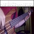 عکس Red Hot Chili Peppers - Aeroplane (Bass Cover) (Play Along - Tabs In Video)